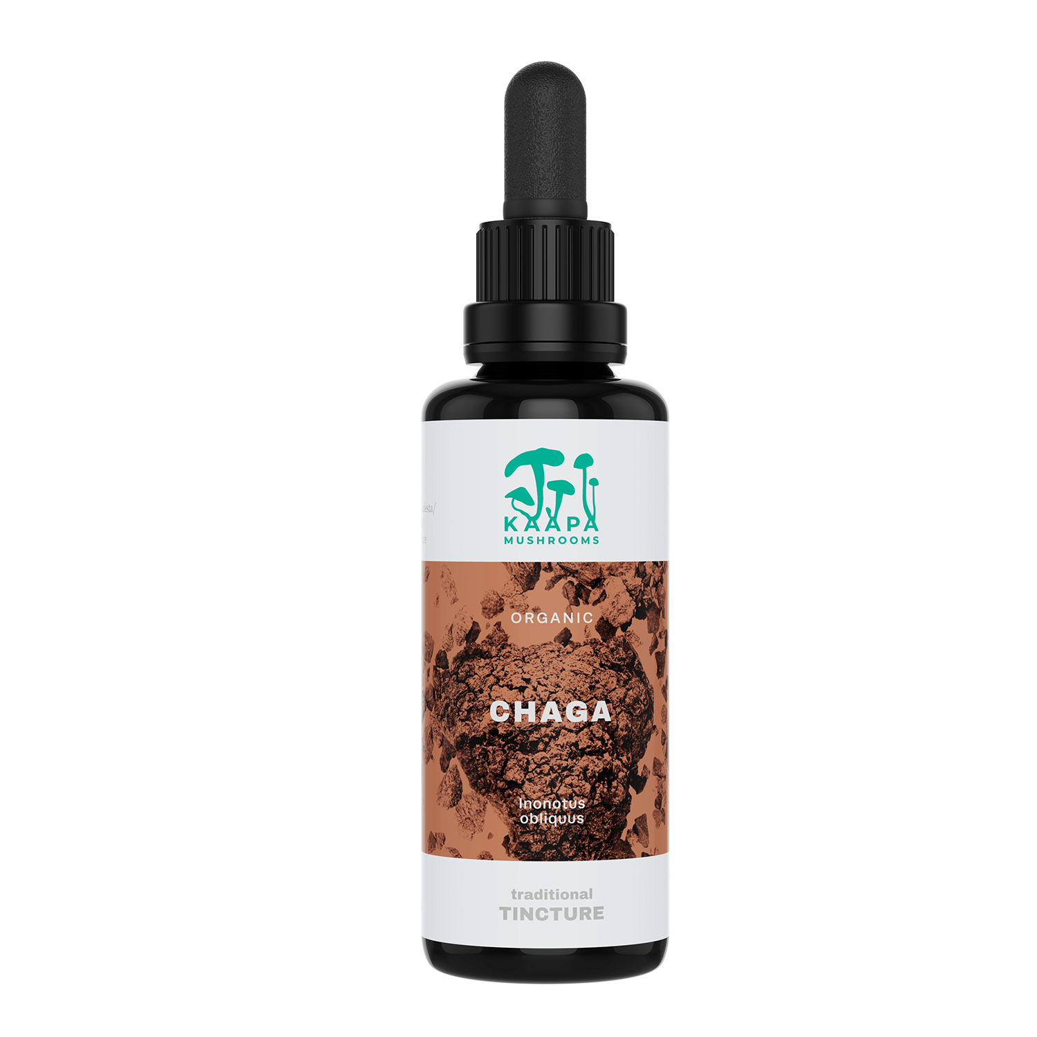 Chaga Tinktur 50 ml