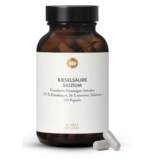 Silizium/Kieselsäure 350 mg 120 Kps.