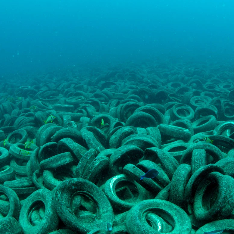 4Ocean Bracelet Osborne Reef