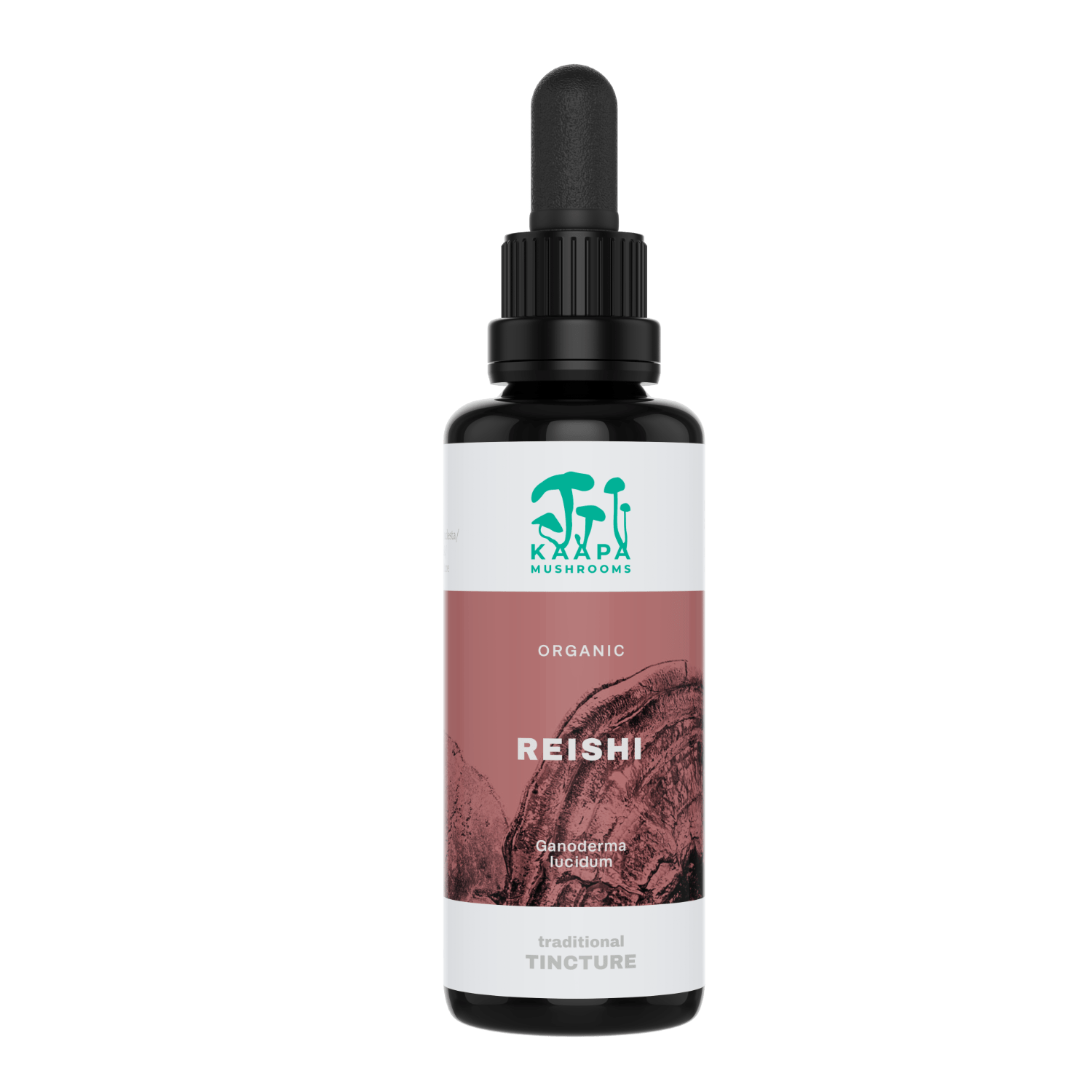 Reishi Tinktur 50 ml