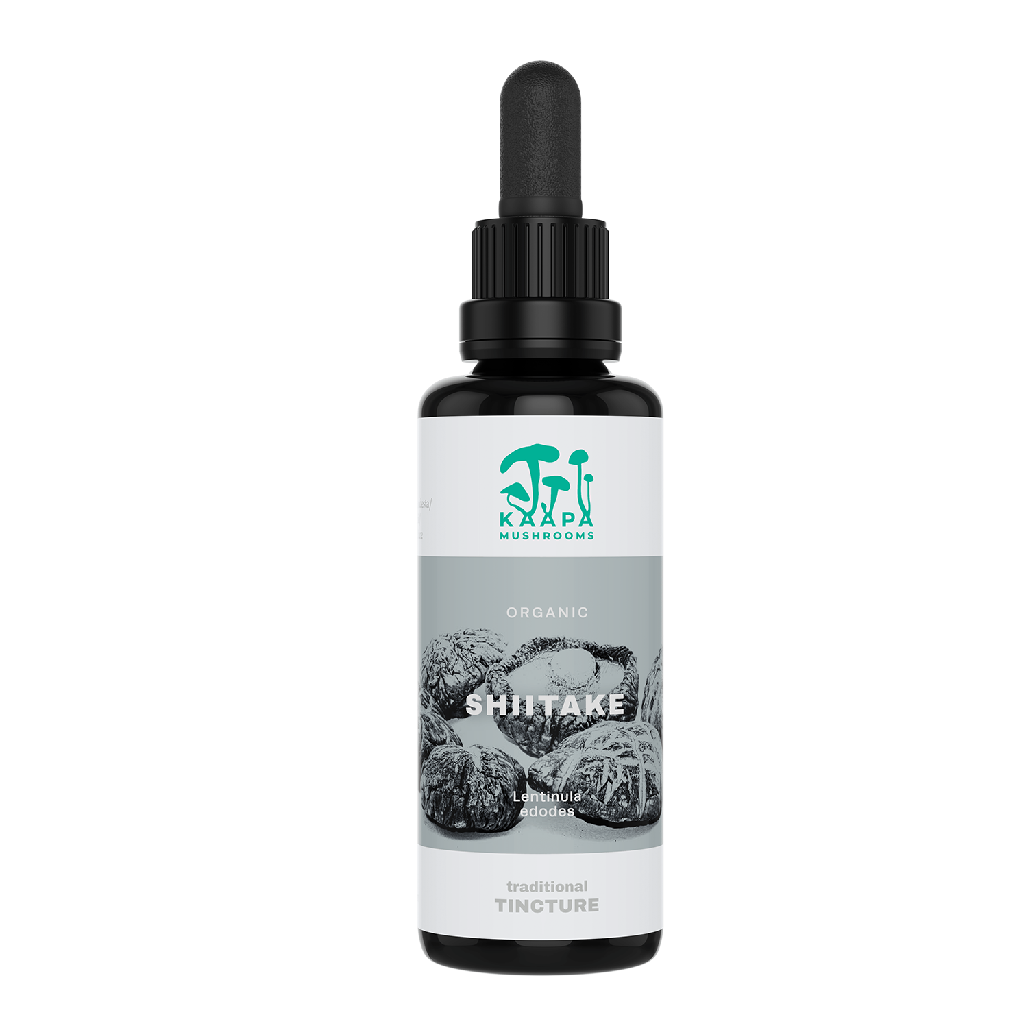 Shiitake Tinktur 50 ml