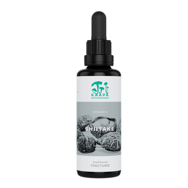 Shiitake Tinktur 50 ml