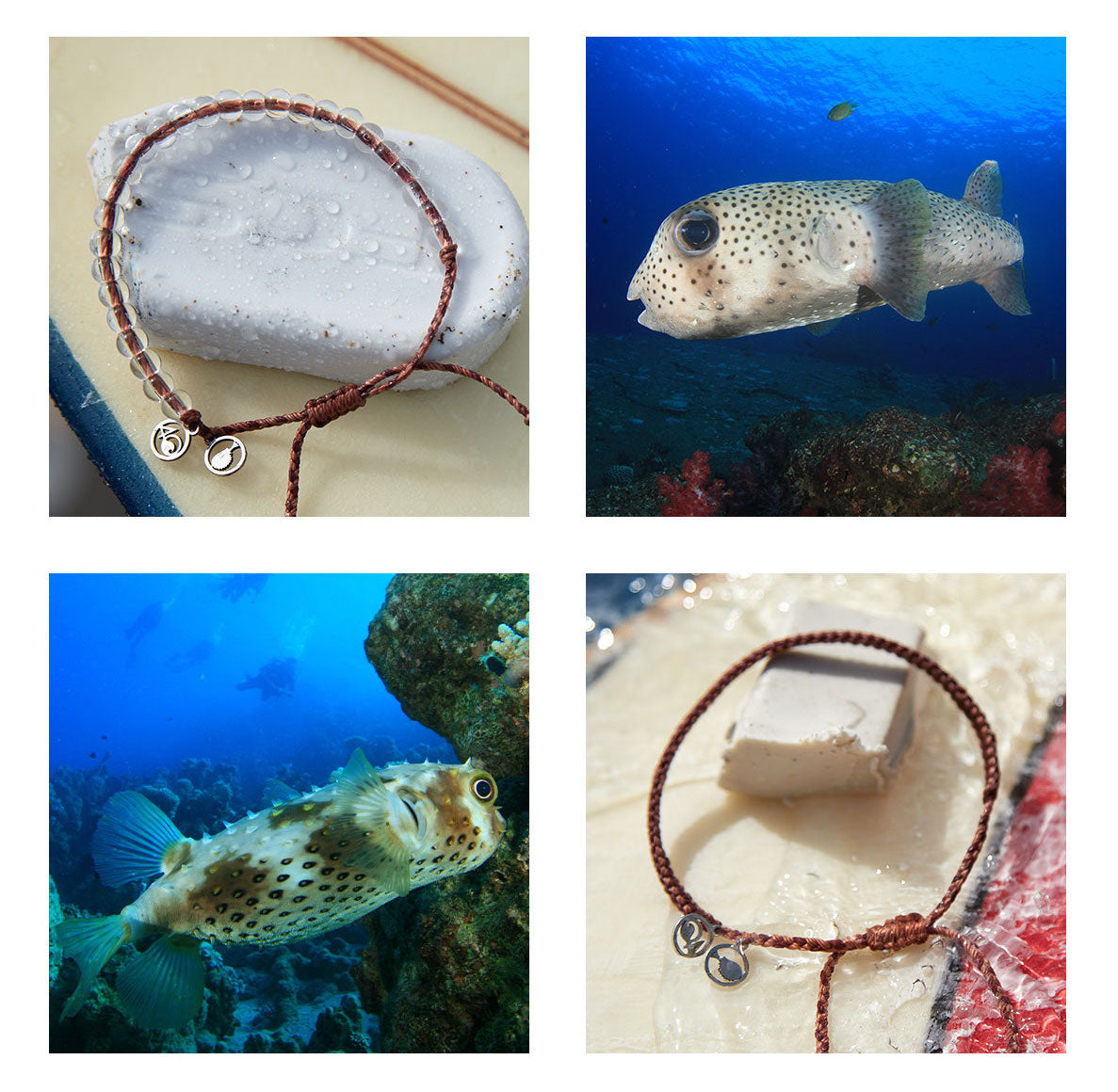 4Ocean Armband Puffer Fish